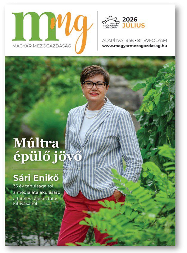 magazin kép
