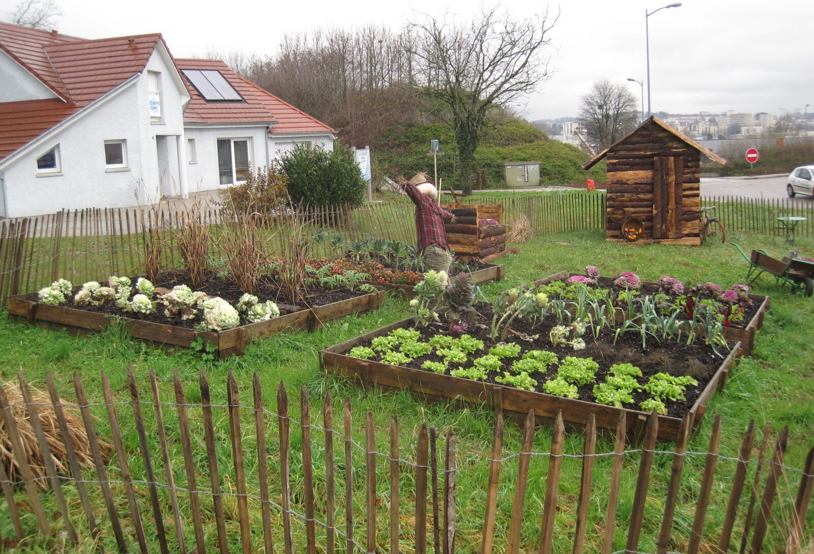 Frass: a szupertrágya, amitől lendületet vesznek a növényei