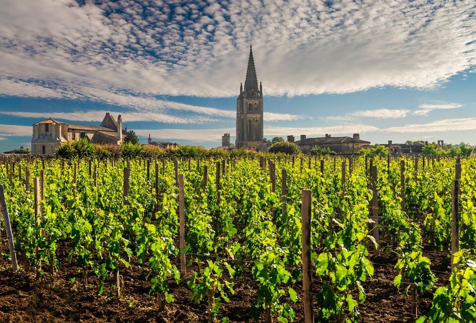 saint-emilion-borvidek_kep