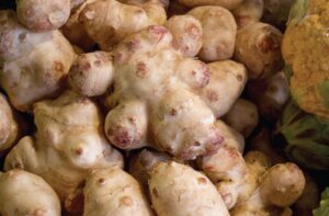 Csicsóka: a bélflóra fő segítíője