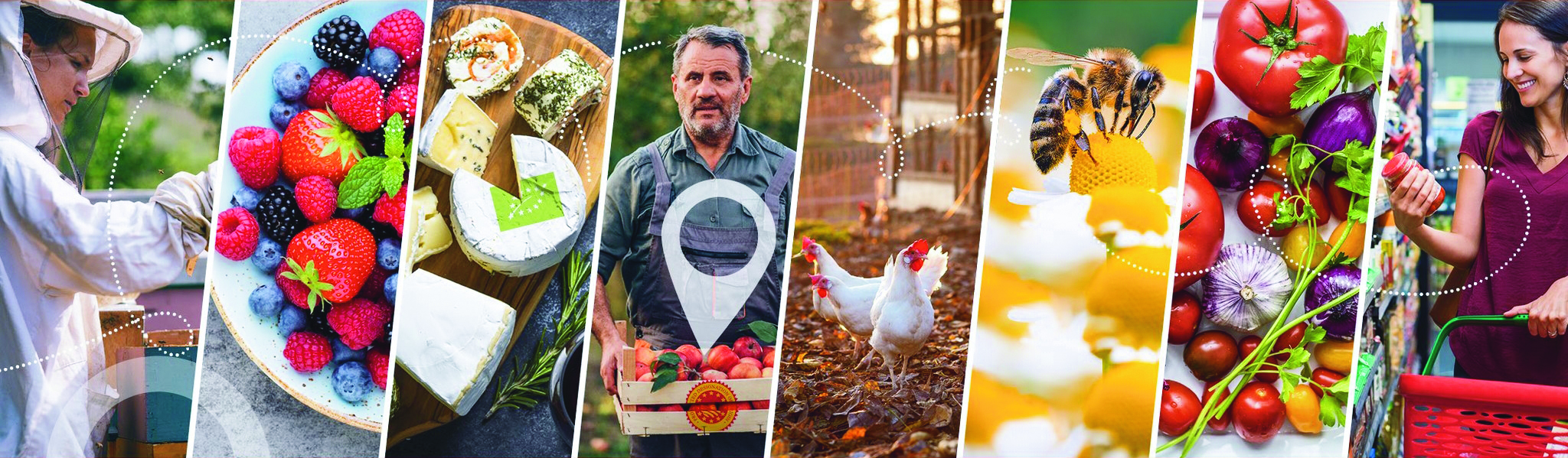 közös agrárpolitika vidékfejlesztés