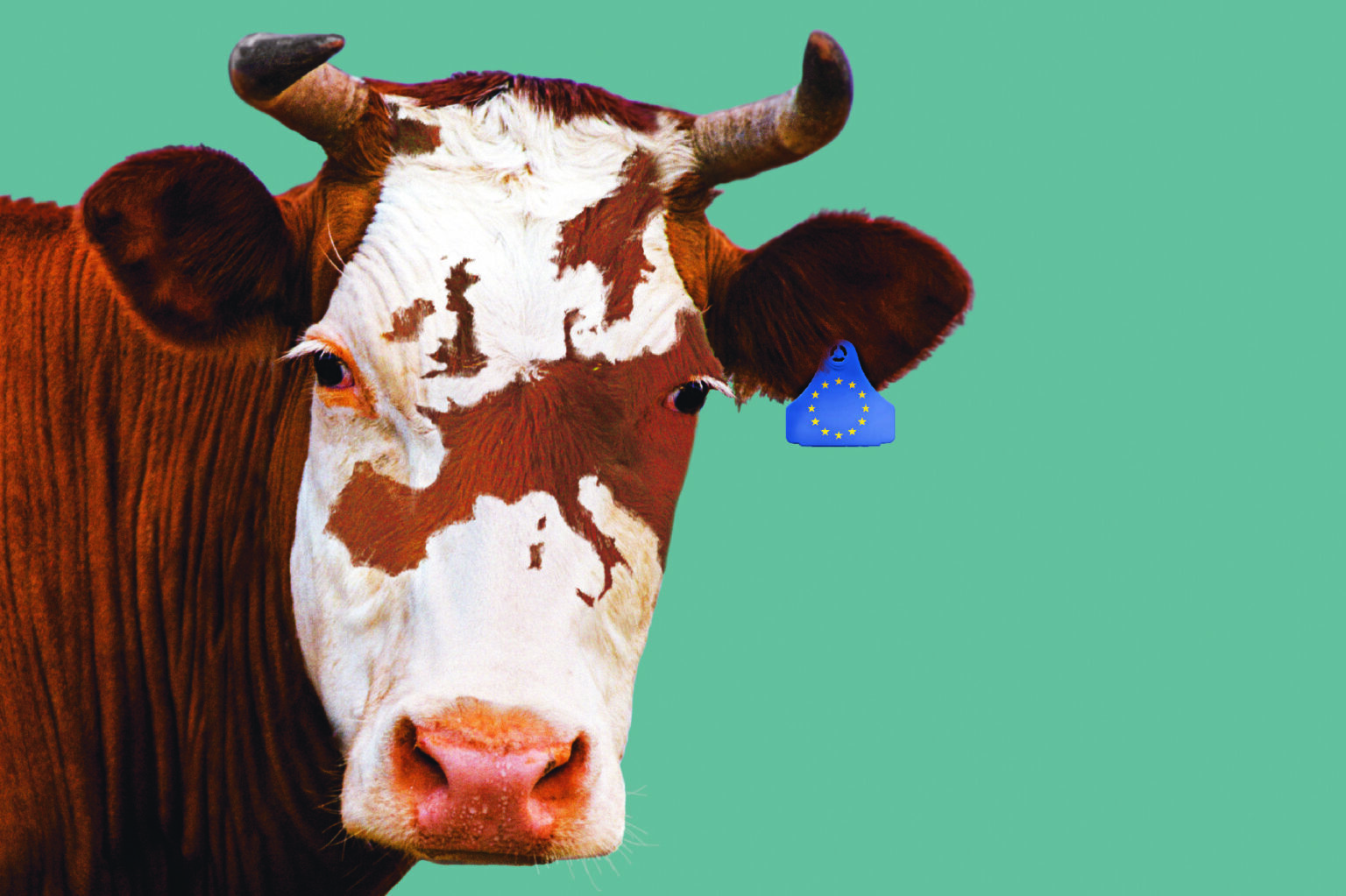 Húsz éve az EU-ban, múlt és jövő