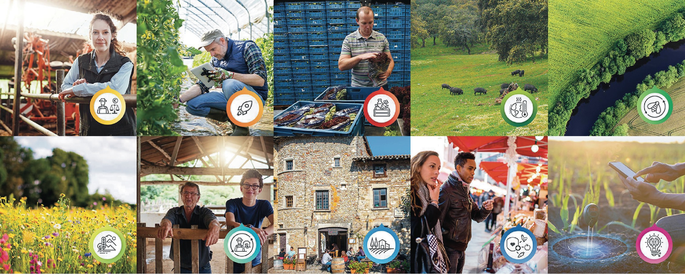 közös agrárpolitika agrárium