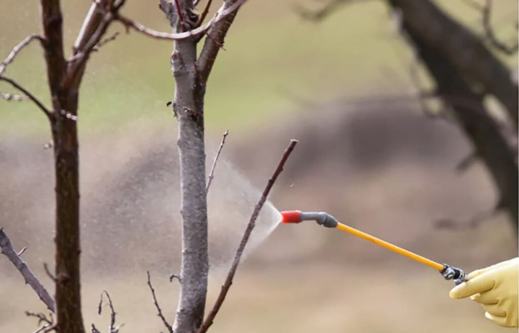 permetezés pisztollyal