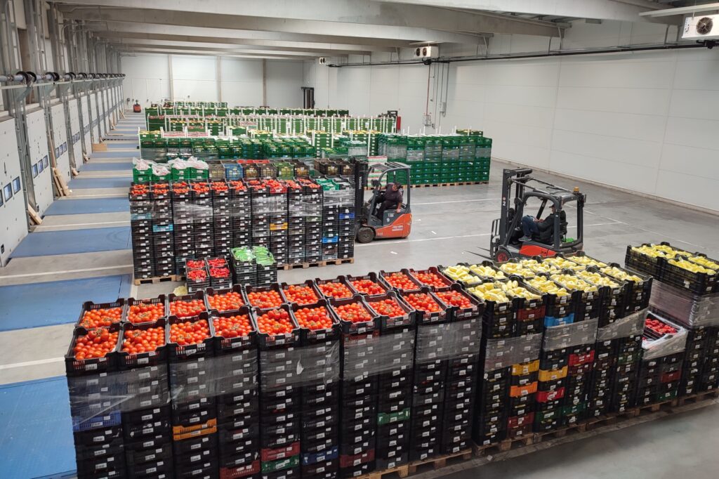 délkertész előkészítő csarnok