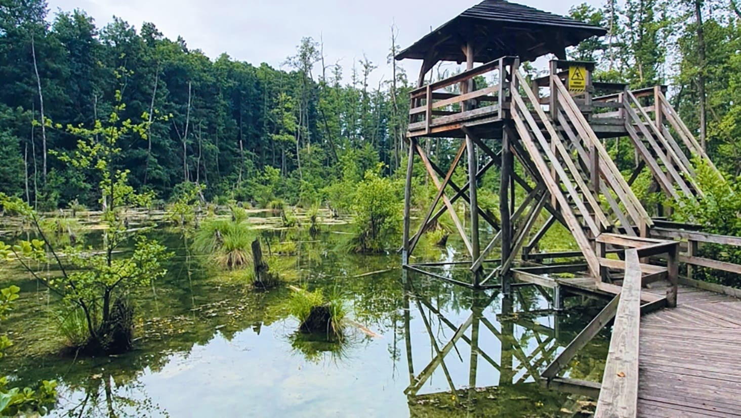 tatai fényes tanösvény zöldfelületi