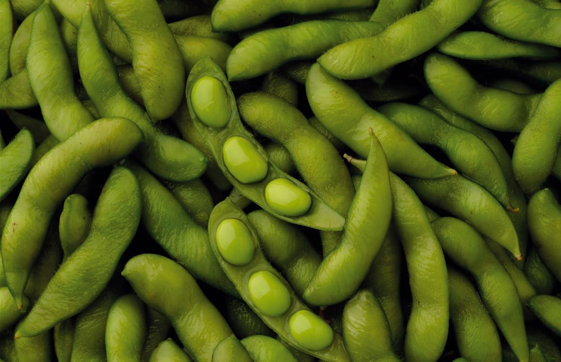 Edamame étkezési szója