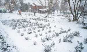 ökobirtok Tardonán