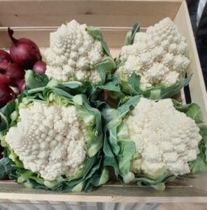 Fehér rózsájú Romanesco-karfiol a Cartesio