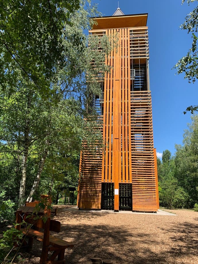 kecskeméti arborétum kilátó kefag erdő a mi erdőnk