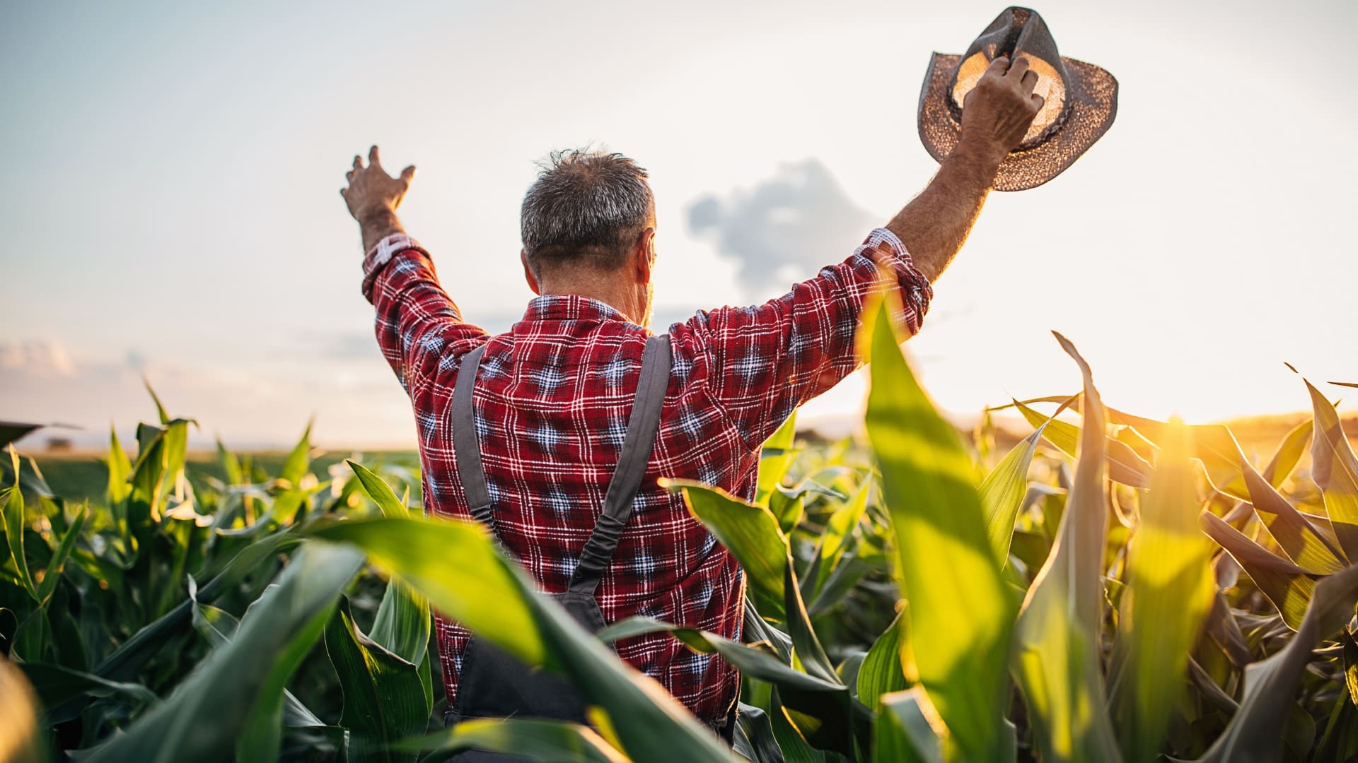 Öregszik a hazai agrárium, és a nők aránya is alacsony