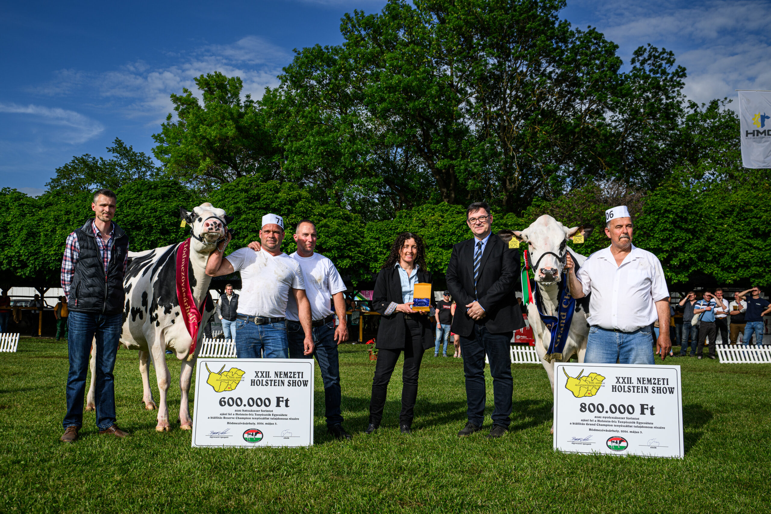 nyertesek grand champion reserve championholstein-fríz felvezetés alföldi állattenyésztési napok 2024