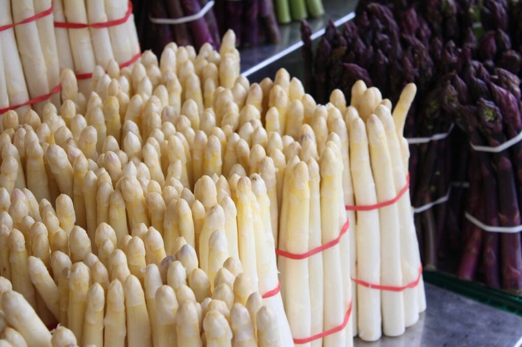 Március közepén szedhetik az első spárgákat Németországban