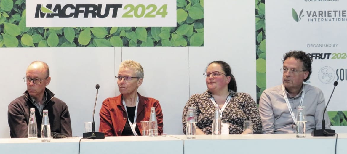 konferencia