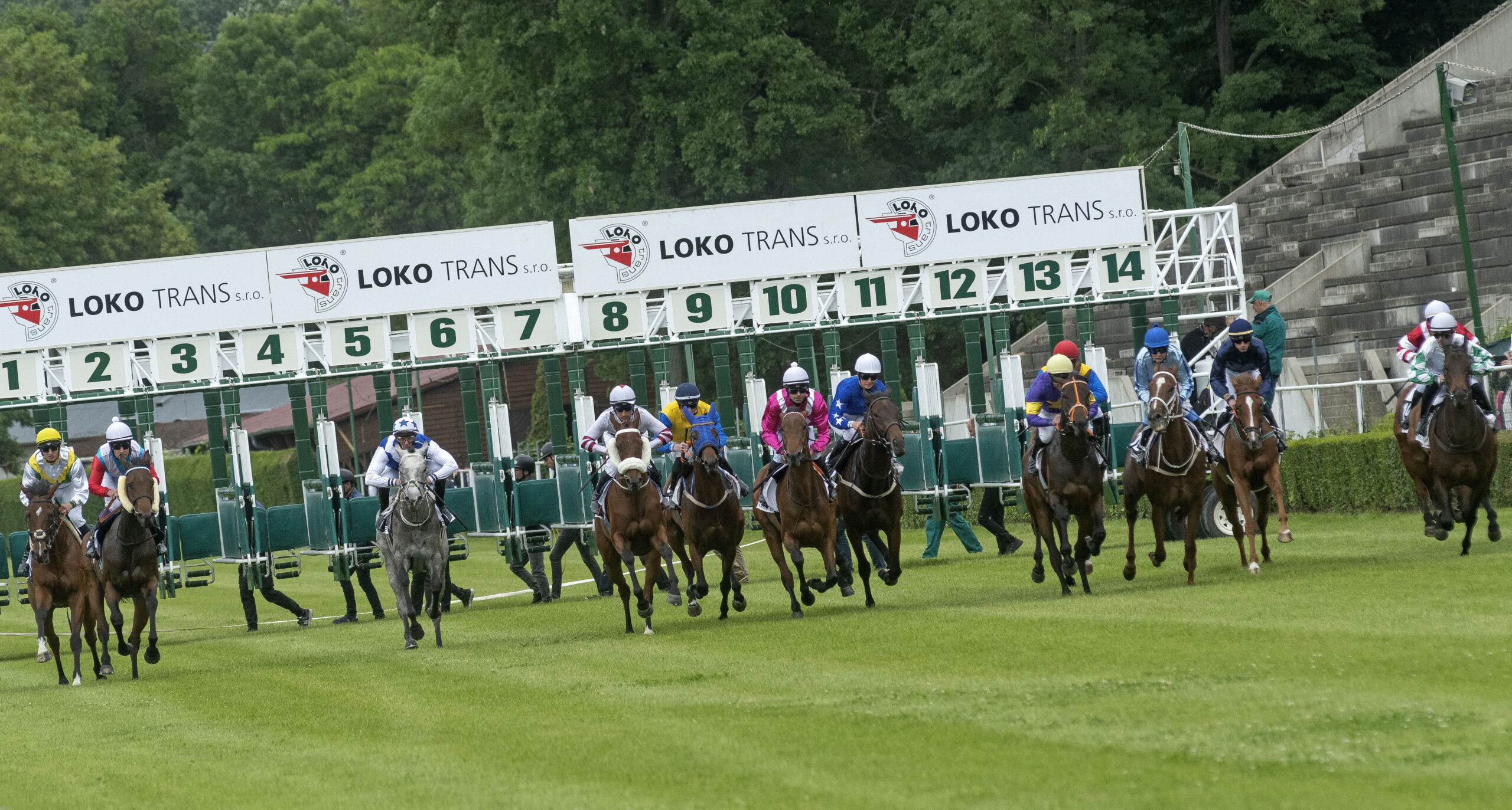 turf gala