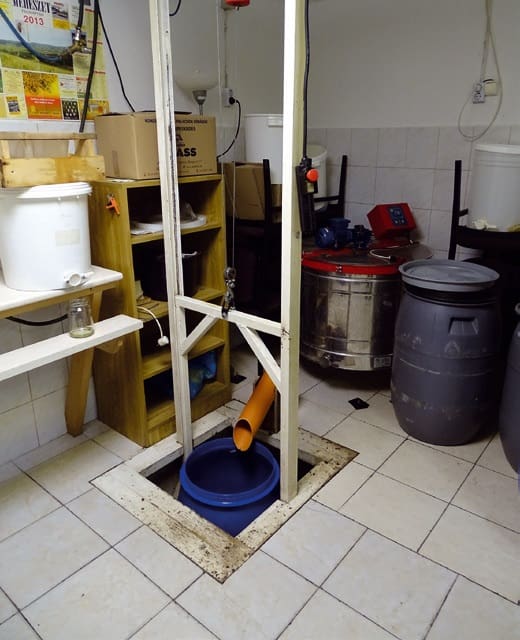 mézpergetés méhészet