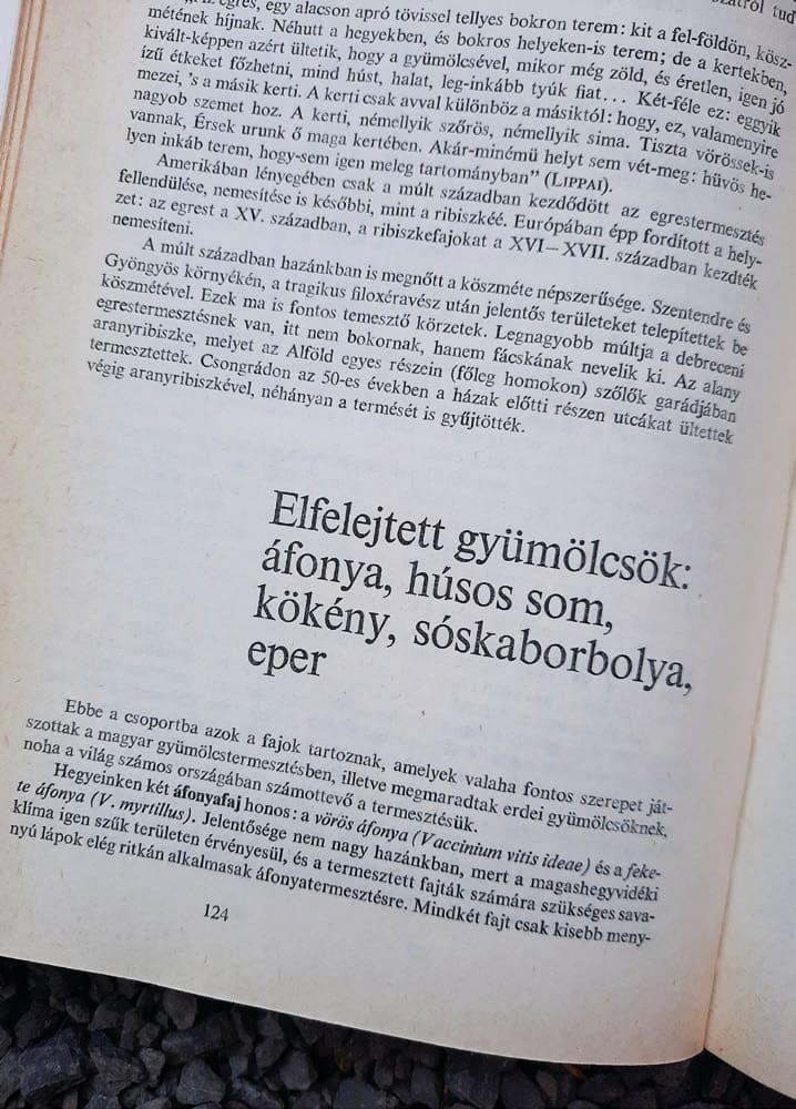 Kerti növények regénye