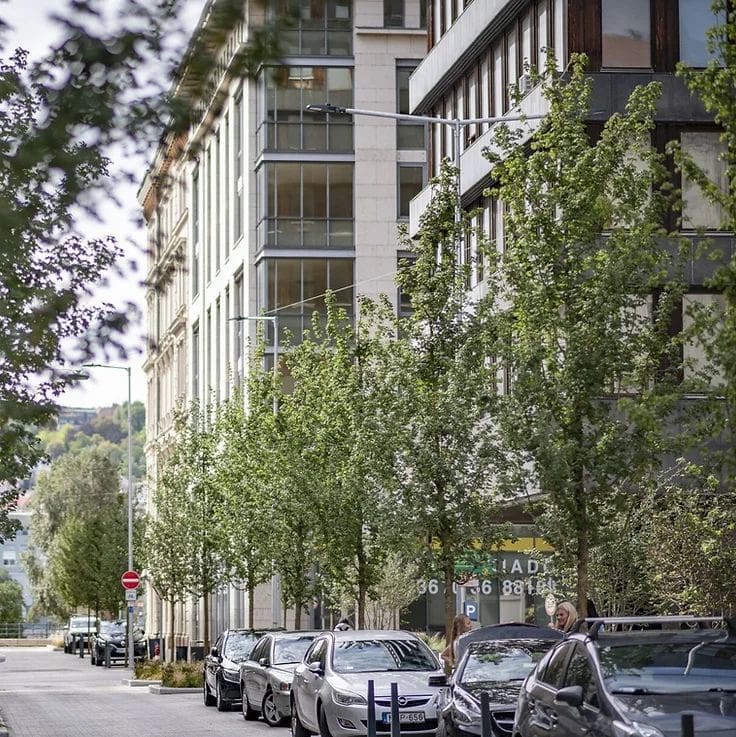 Stockholm faültetési rendszer