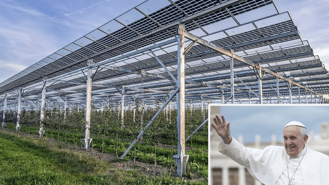agrofotovoltaikus rendszer