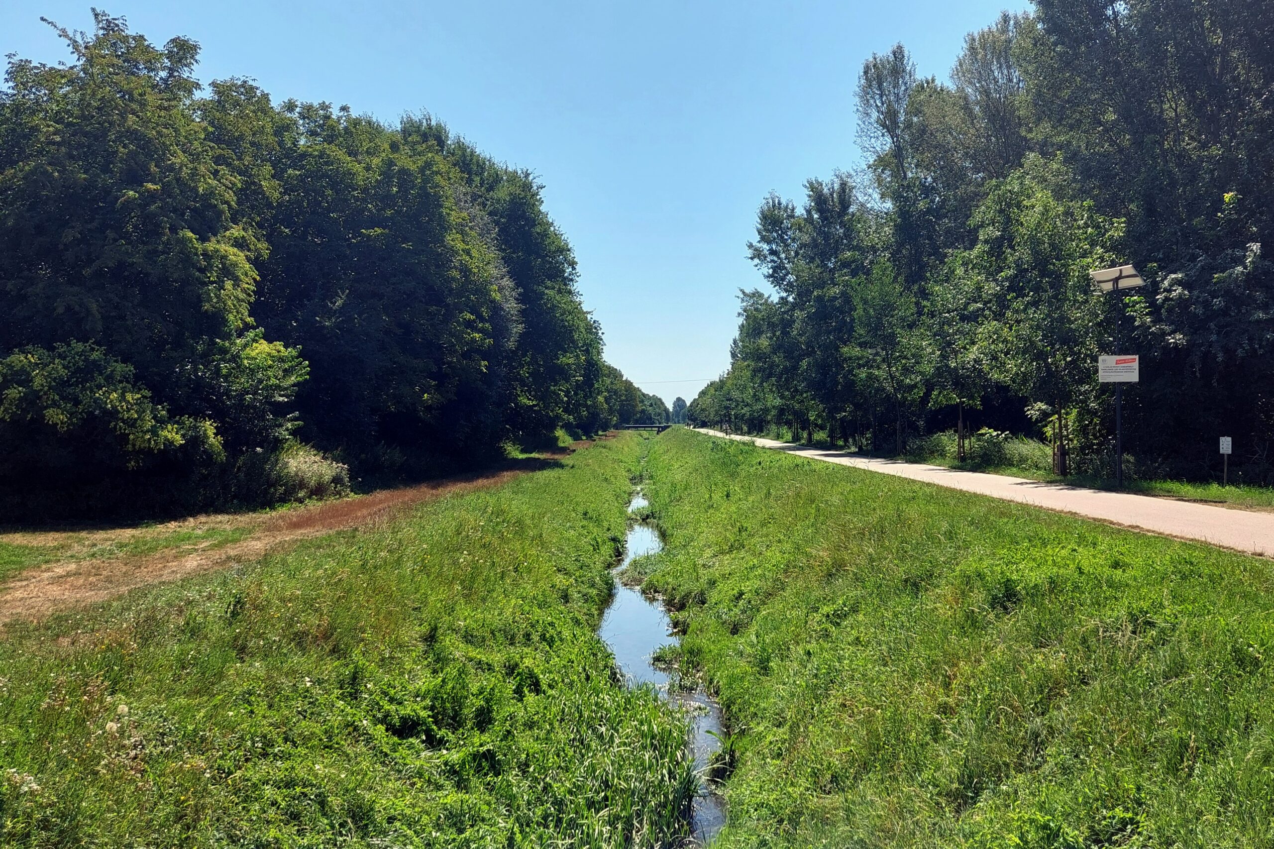 Hogyan élhetünk túl egy ételmérgezést kirándulás, vagy kempingezés közben?
