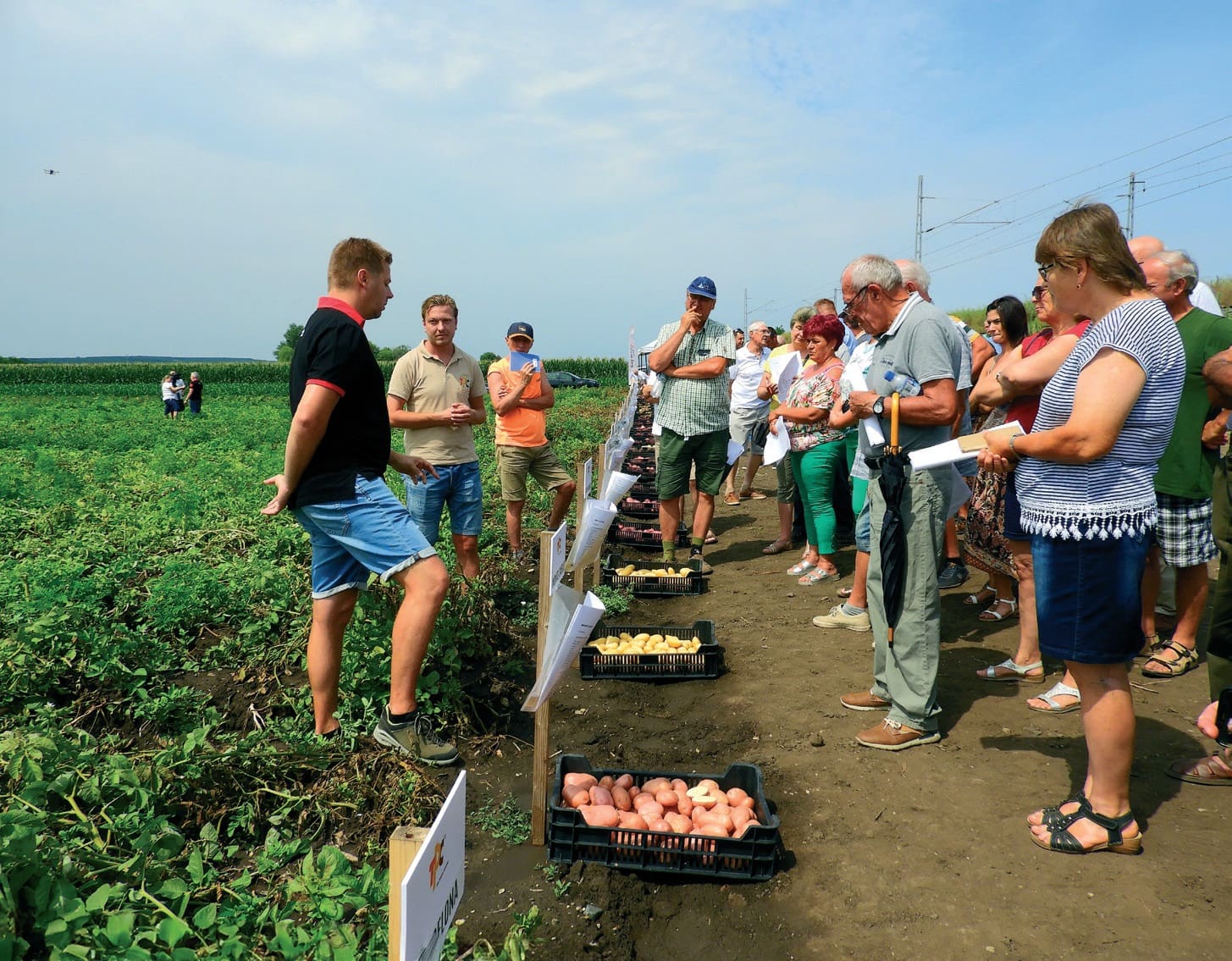 Agrico Magyarország Kft. burgonyarendezvénye