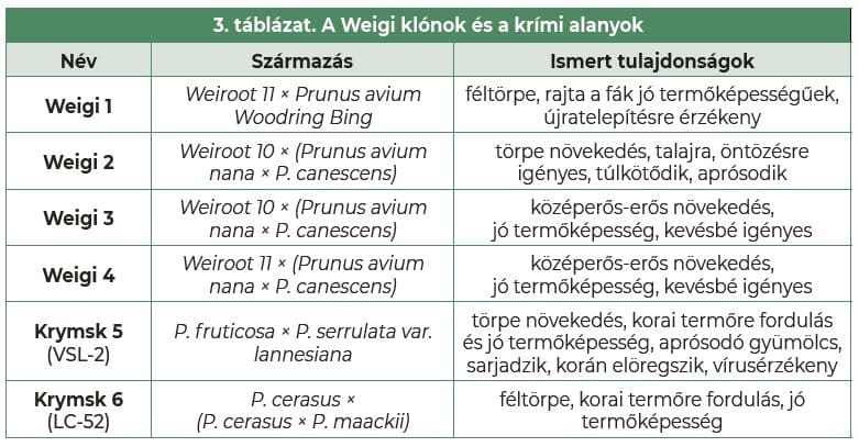 cseresznye