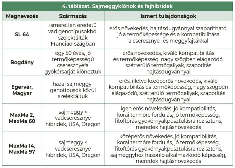 cseresznye