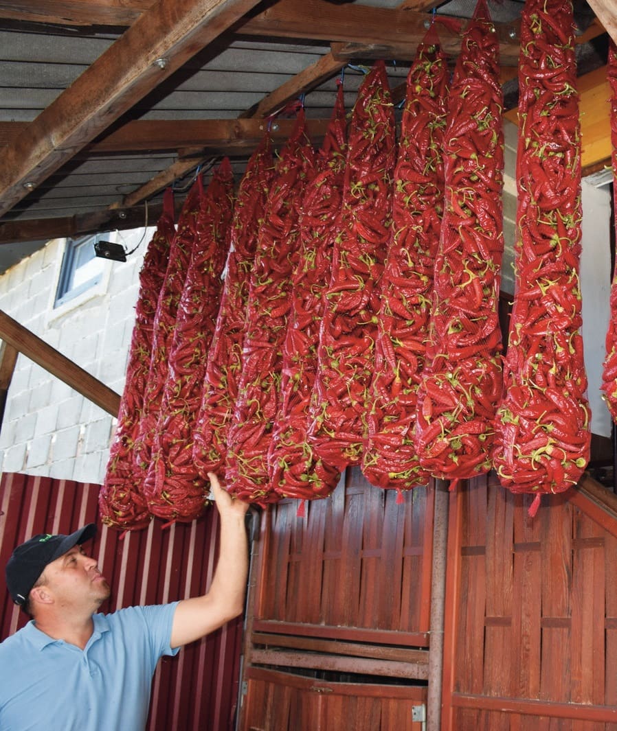 kárpátaljai paprika