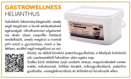 gastrowellness táplálékkiegészítő