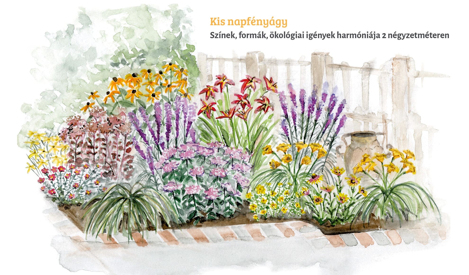 Az Innoflora Kertészet a magánvásárlók számára összeállítási javaslatokat ad növény fajták