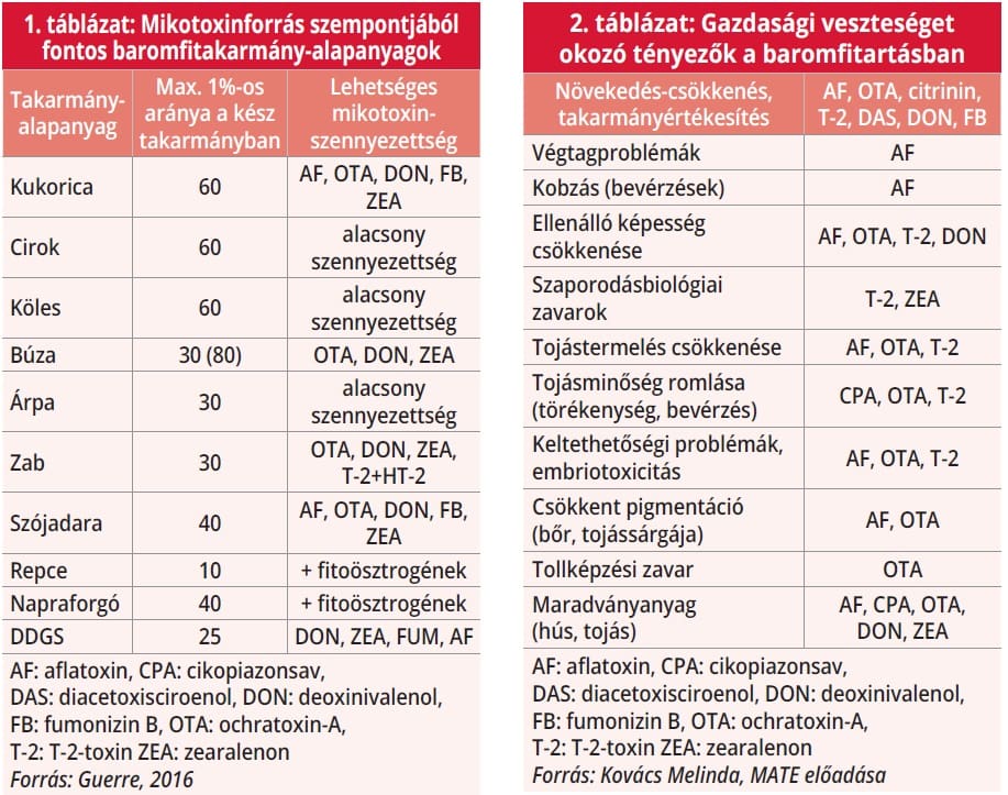 mikotoxinok 1-2. táblázat