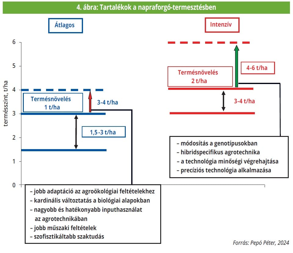 tartalékok a napraforgó-termesztésben