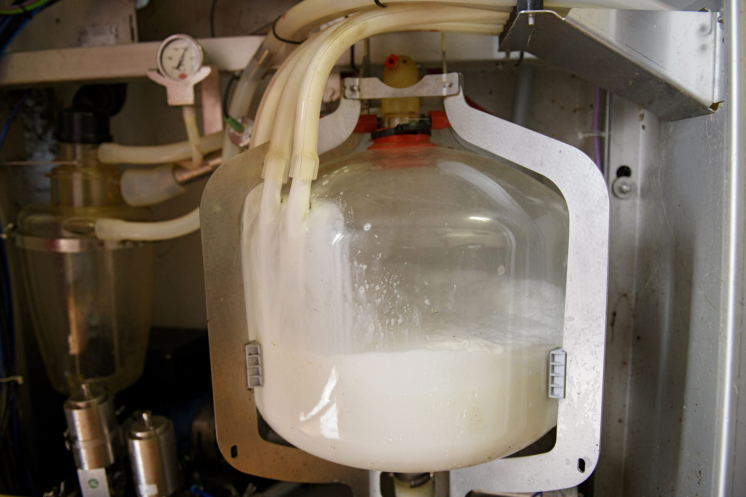 tej