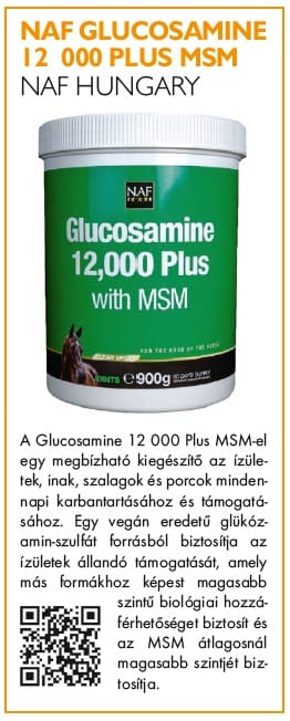 msm glucosamine ásványi anyag étrendkiegészítő lovaknak