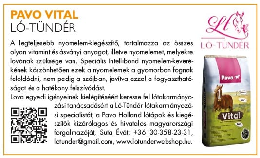 pavo lótündér lótáp
