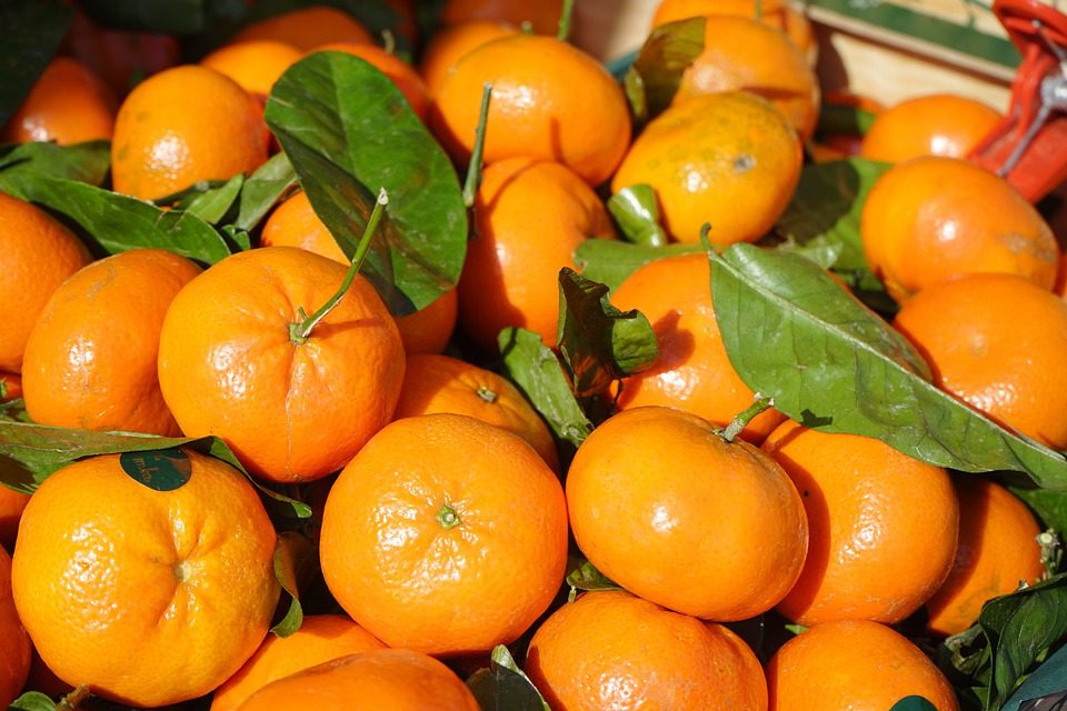 mandarin, citrus, gyümölcs