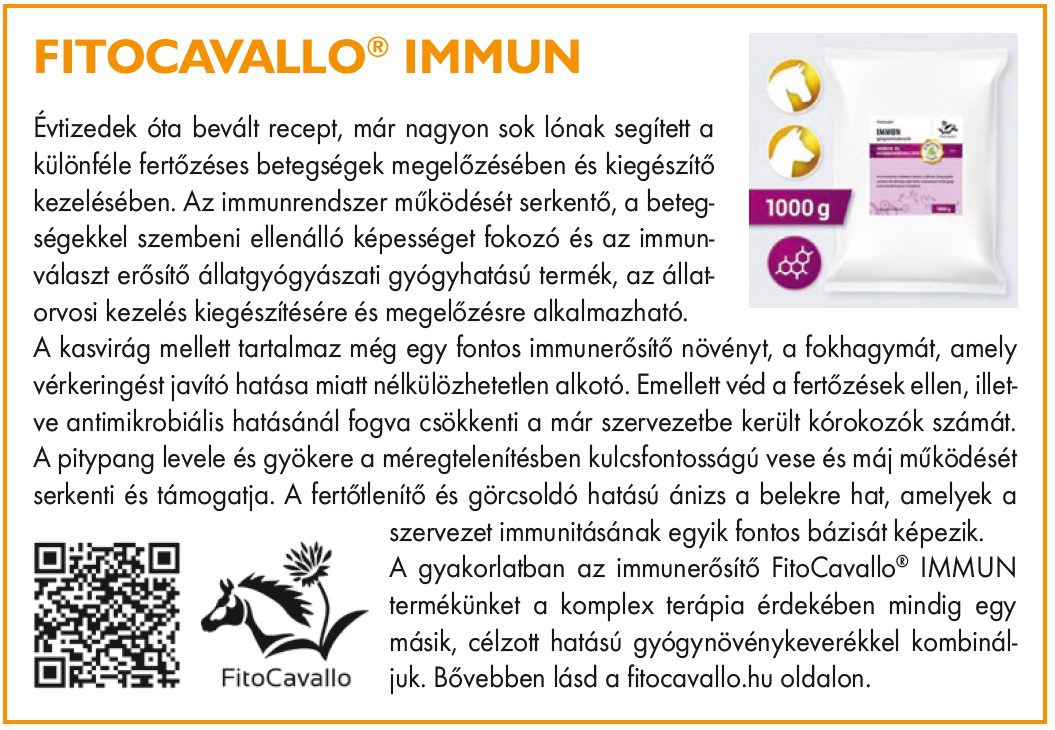 immunrendszer gyógynövény fitocavallo