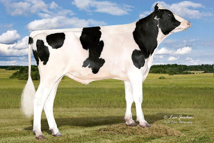 7HO17285 Rufus RC
