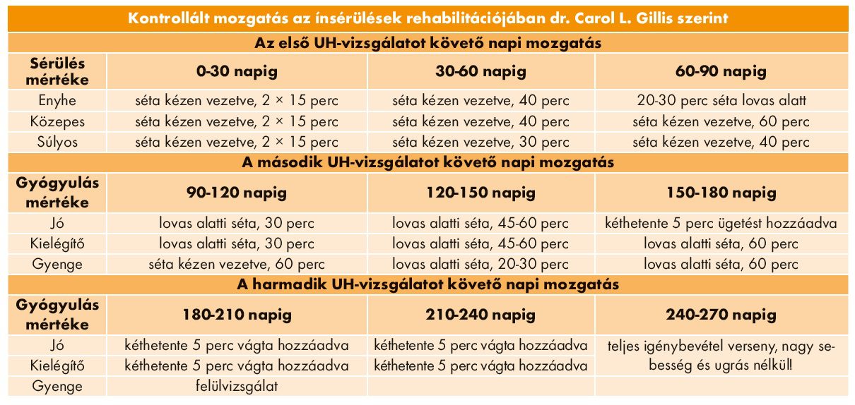 Kontrollált mozgatás az ínsérülések rehabilitációjában dr. Carol L. Gillis szerint 