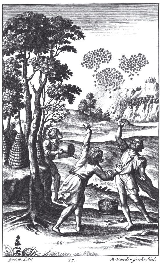 3. kép: A rajzás illusztrációja Václav Hollartól (1607–1677) Vergilius Georgicájának 1709-es kiadásából