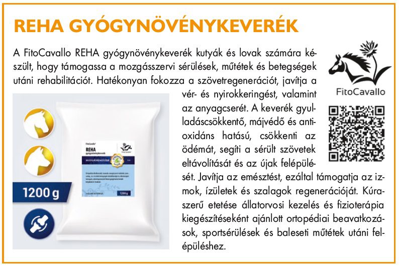 reha gyógynövénykeverék
