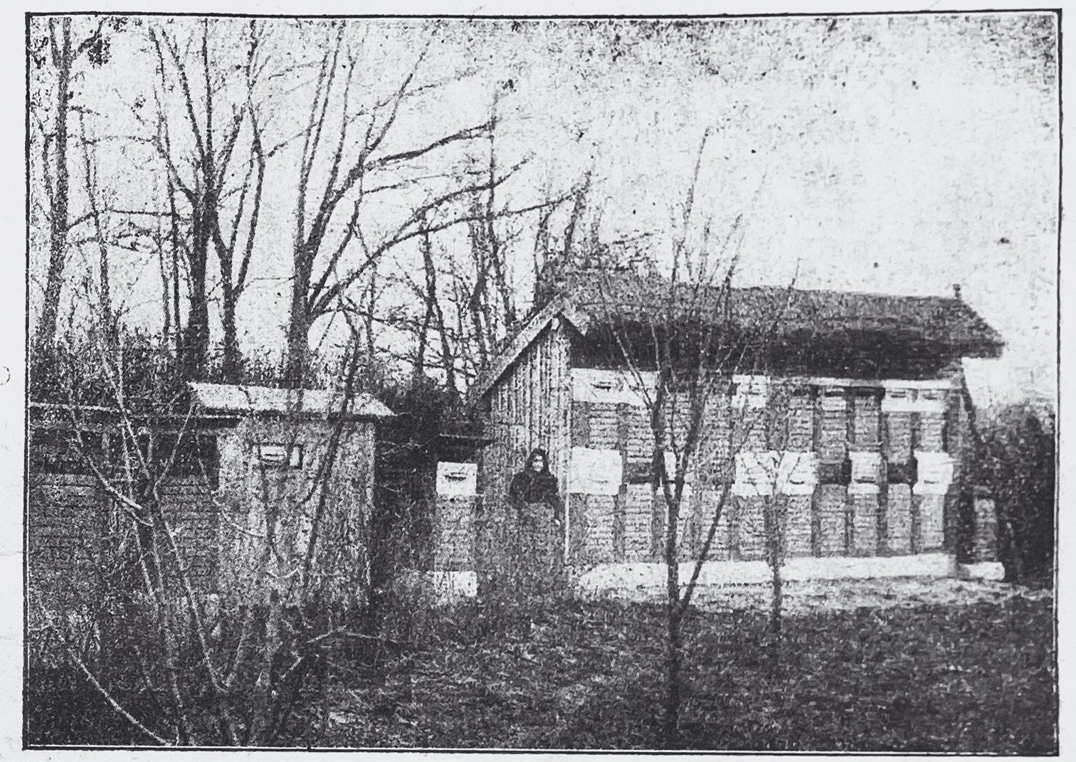 6. kép: Uzdi-féle méhesház id. Boczonádi könyvében, 173. o.