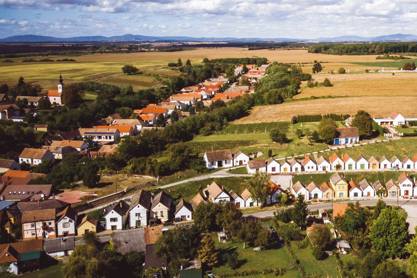 Pincesorok a Villányi borvidéken