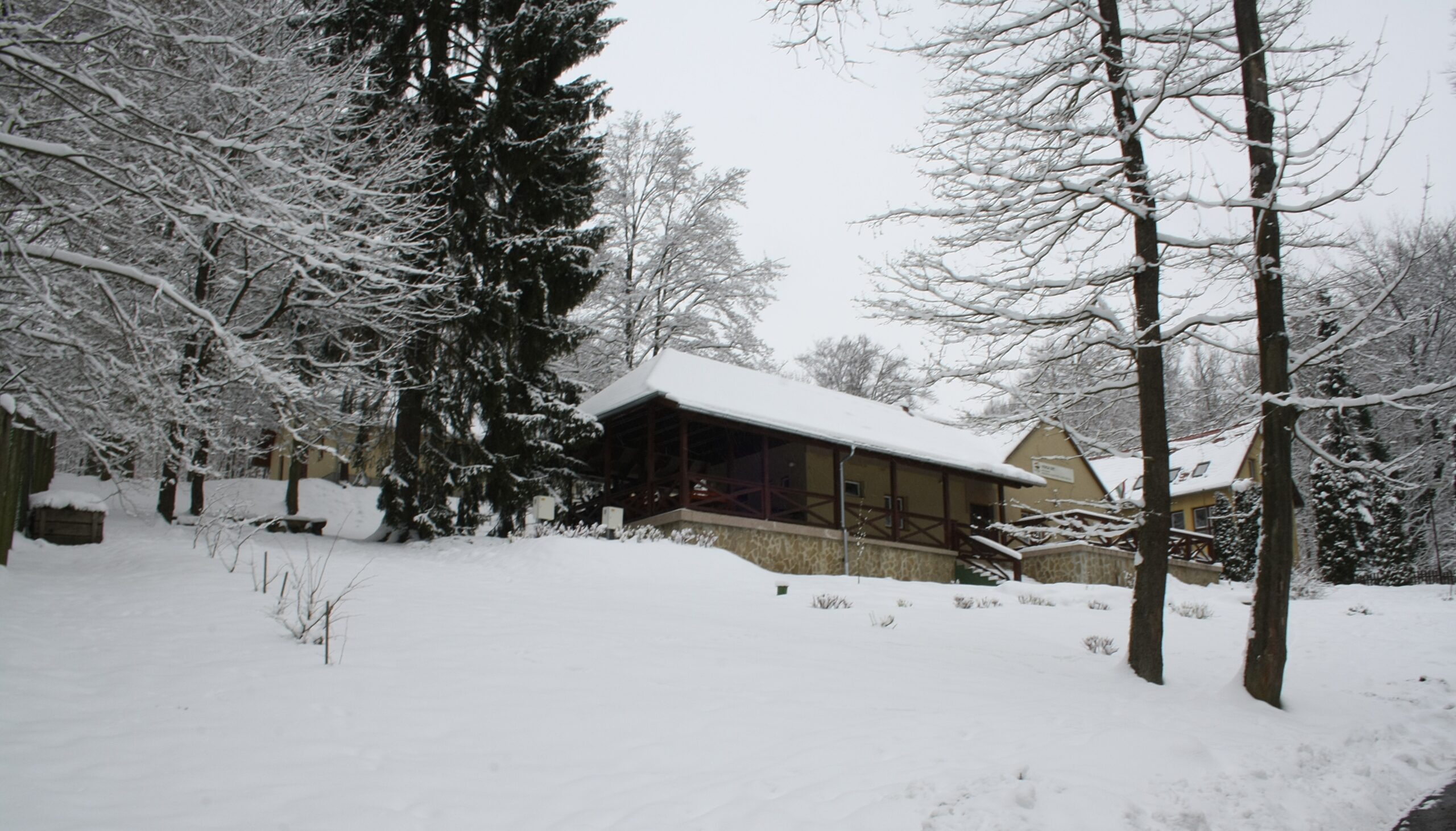 Hubertus_Erdészeti_Erdei_Iskola