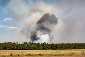 Tízmillió eurókban mérhető a tűzvész okozta mezőgazdasági kár Spanyolországban