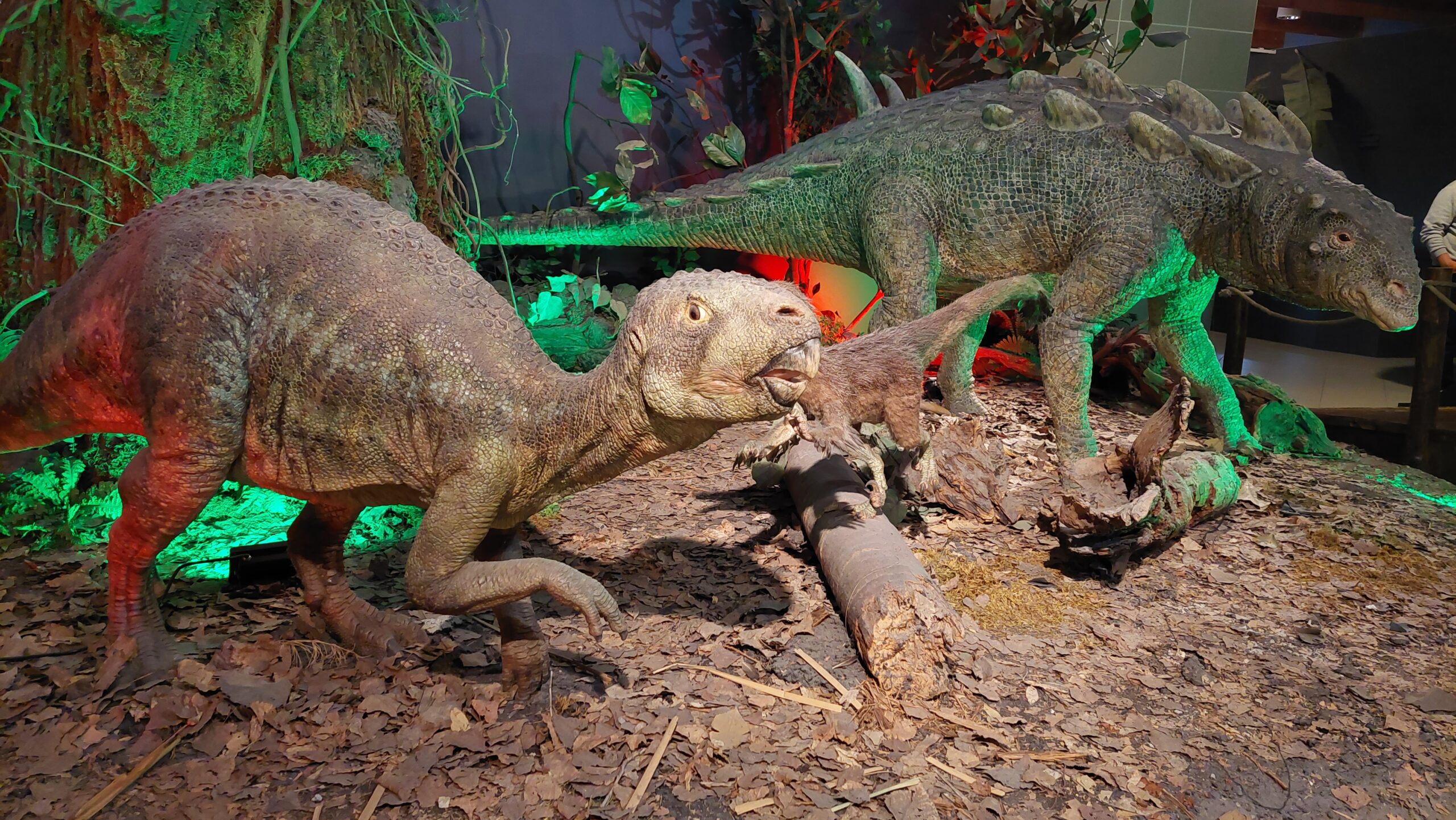A Természettudományi Múzeumban külön kiállítást szenteltek a Kárpát-medencéből előkerült dinoszauruszoknak