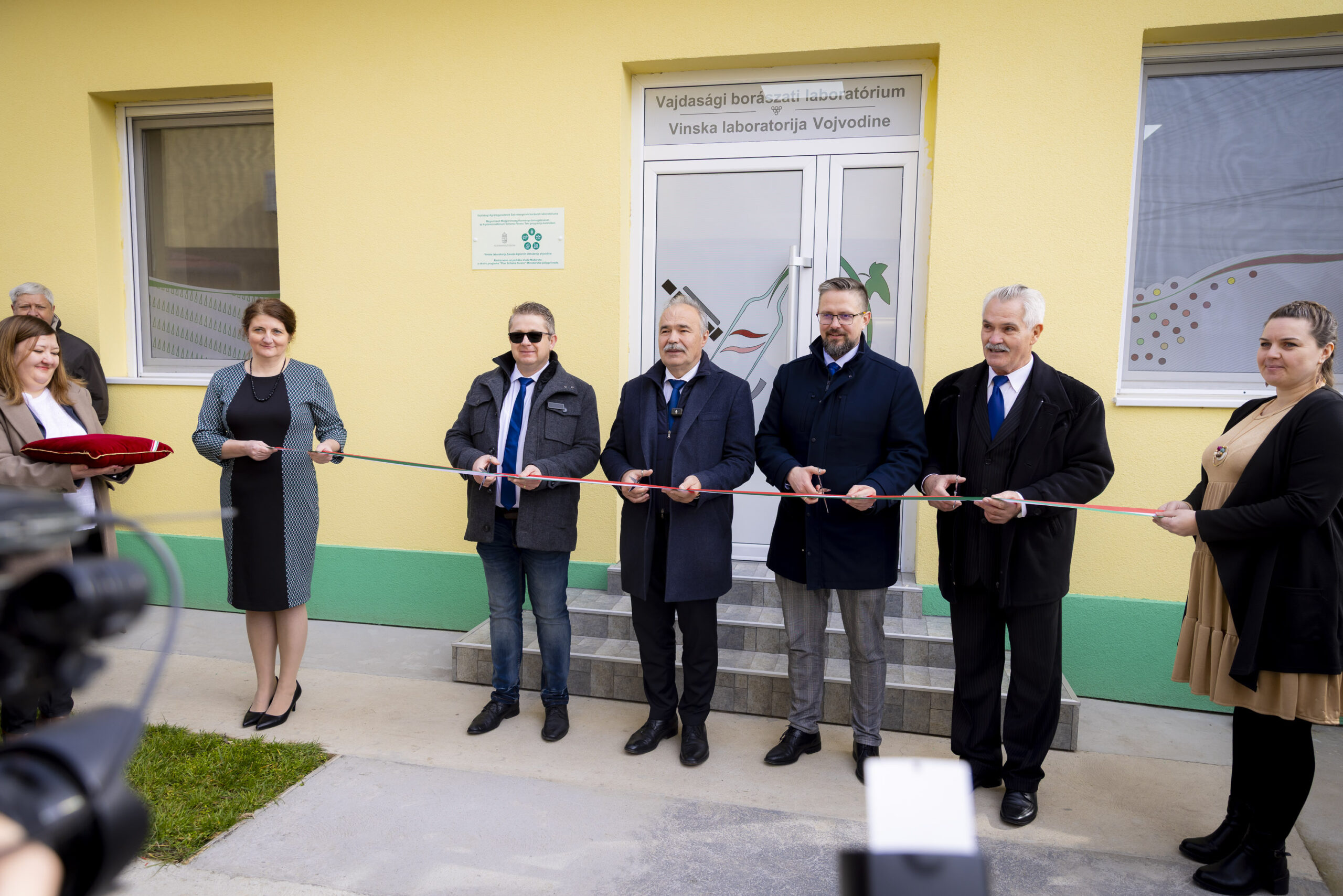 borászok zenta