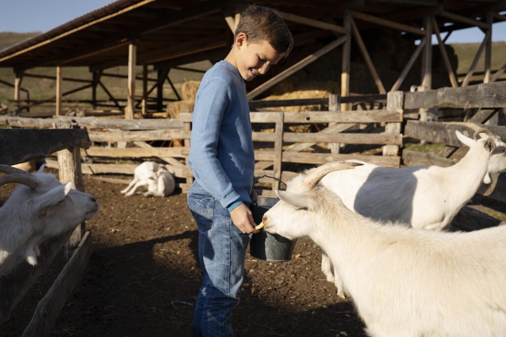 https://www.freepik.com/free-photo/medium-shot-kid-feeding-goat_19894472.htm