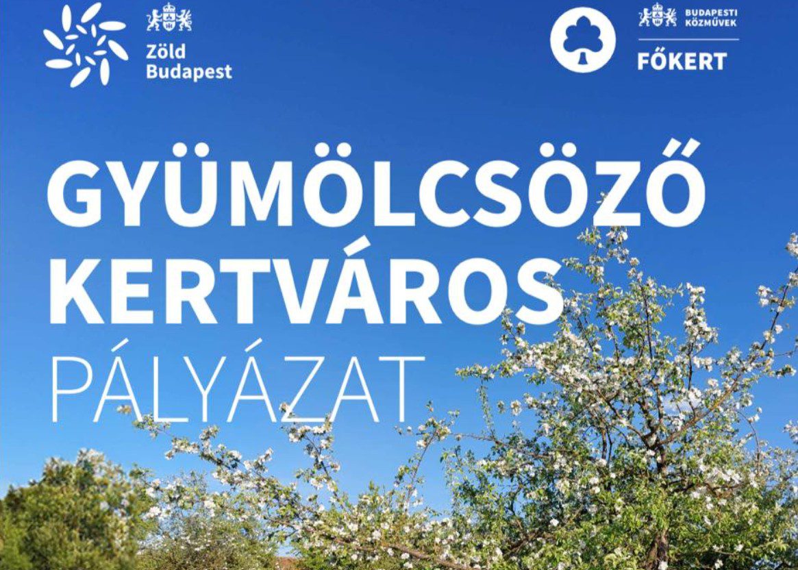 gyümölcs