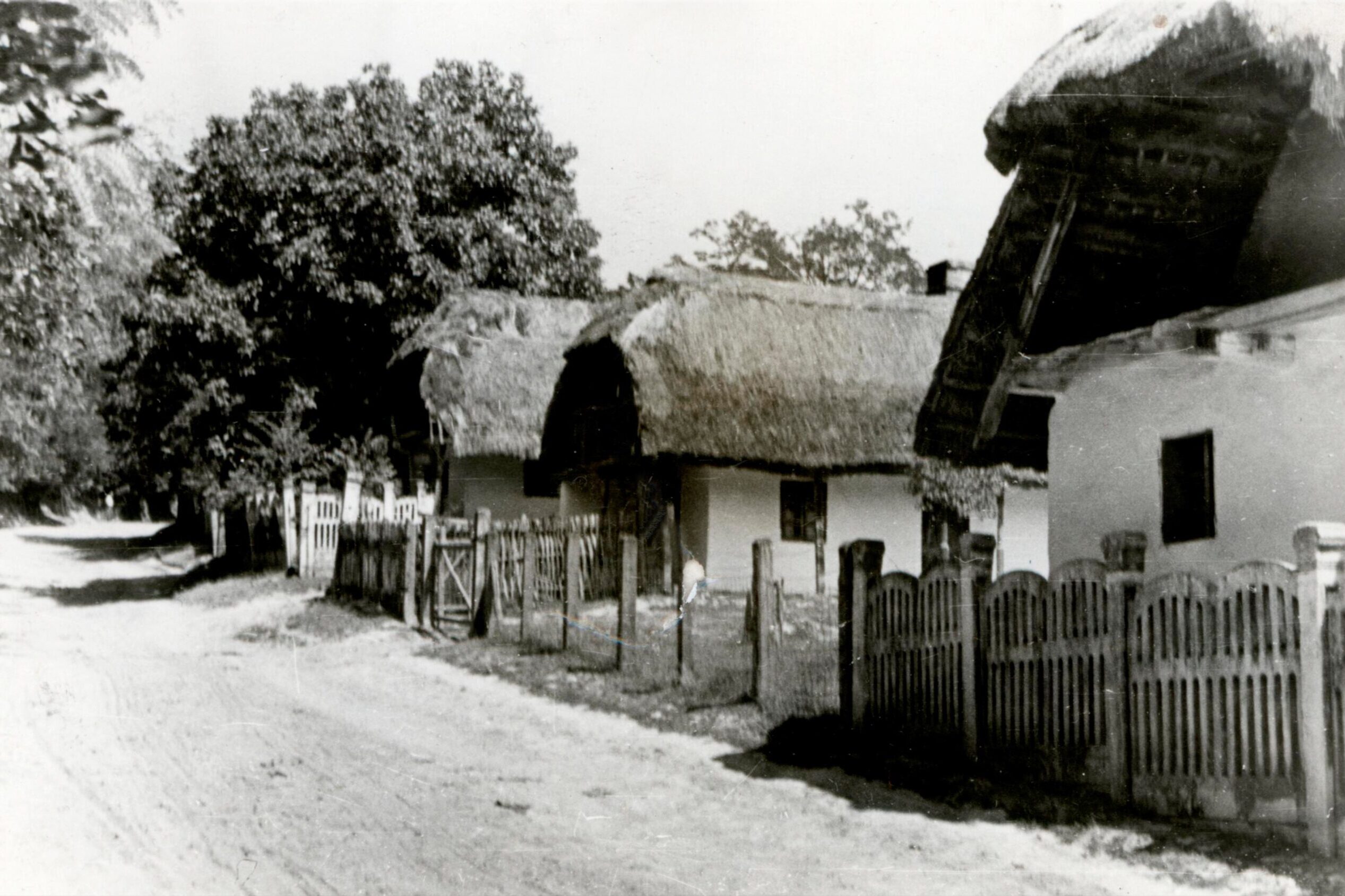 Szenna – Diákszer
